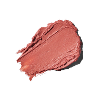 Sunforgettable Total Protection Color Balm SPF 50