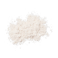 Brush-On Sheer matte powder swatch on a white background